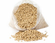 bio fuel - wooden pellets