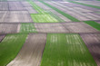 Aerial view of crop fields in rural landscape