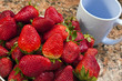 Photo: Fresh Strawberries Fresh Strawberries