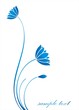 water lily plant, background,India water lily plant, background,India
