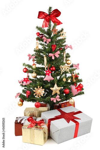 Photo: christmas tree christmas tree