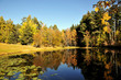 Autunno in Alto Adige Autunno in Alto Adige