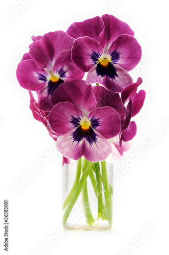 Foto: Pansies bouquet Pansies bouquet