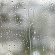 rainy detail in blurry back