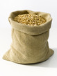 bag with wheat bag with wheat