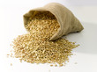 Bag of wheat Bag of wheat