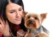 fille et yorkshire terrier