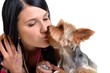 kissing dog