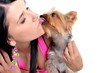 love to pets