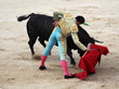 corrida