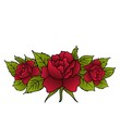 beautiful red roses isolated beautiful red roses isolated