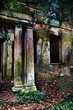 derelict abbey