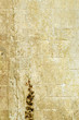 stone wall
