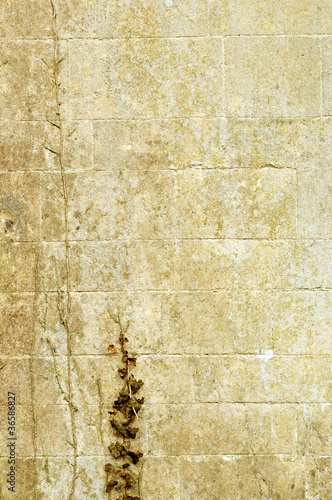 Foto: stone wall stone wall