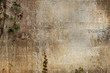 stone wall backdrop