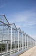 Greenhouses against blue sky