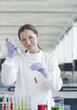 Scientist putting liquid in test tubes in lab