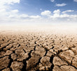 Wasteland Wasteland