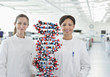 Scientists with molecular model in lab