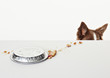 Spilled pie pan on table beside dog