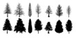 Silhouette trees