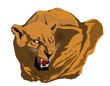 lioness