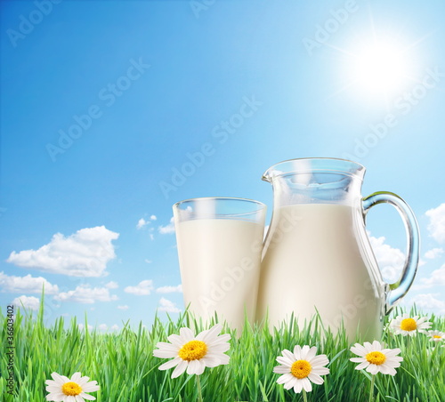 Photo: Milk jug and glass on the grass with chamomiles. On a background Milk jug and glass on the grass with chamomiles. On a background