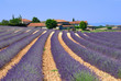 provence