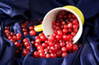 cranberries on a blue background