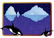 Killer whales