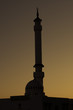 Oriental silhouette