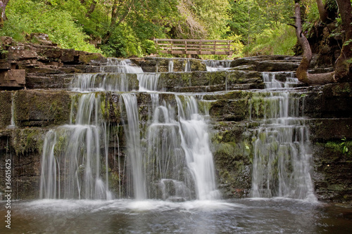 Photo: Ash Gill Ash Gill