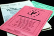 permis de conduire,assurance,carte grise,conduite,papiers