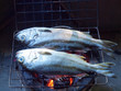 Fishes roasting Fishes roasting