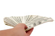 dollars in a human hand dollars in a human hand