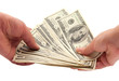 dollars in a human hand dollars in a human hand