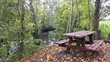Video: Automne Automne