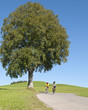 gemeinsame Tour auf dem Rennrad