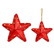 Christmas star