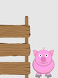 pig and guard
