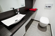 stylish toilet