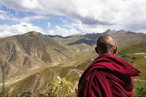 Photo: monaco tibetano monaco tibetano