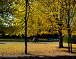 Colorful fall autumn park