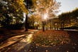 Colorful fall autumn park