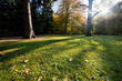 Colorful fall autumn park