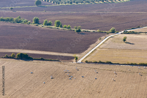 Photo: campagna - veduta aerea campagna - veduta aerea