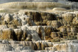Geyser Mammoth, Parc National Yellowstone, Etas Unis Geyser Mammoth, Parc National Yellowstone, Etas Unis