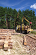 Timber carrying vessel.