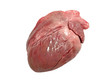 Pig heart isolated.