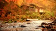creek and cabin